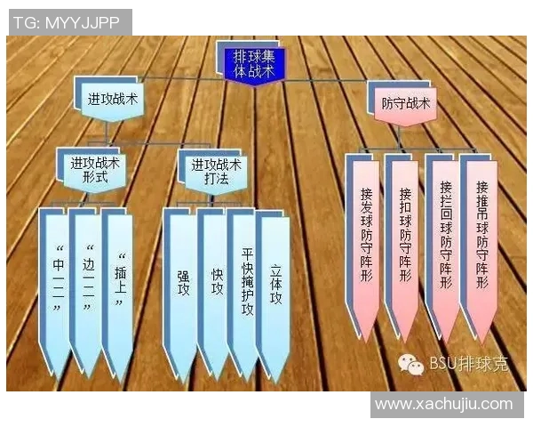 上海排球队的战术变革与球员转型深度解析