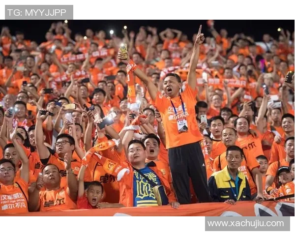 武汉乒乓球队速度之争引发热议球迷与专家各持己见