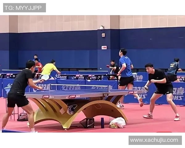 广州乒乓球队耐力训练的深度分析与发展策略探讨