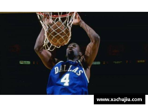 德克风云：NBA传奇巨星德克的生涯全记录