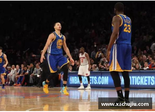 NBA球员养猫大揭秘：球场外的软萌一面