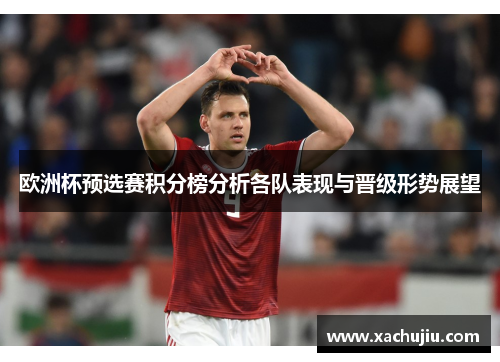 欧洲杯预选赛积分榜分析各队表现与晋级形势展望