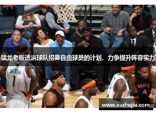 猛龙老板透露球队招募自由球员的计划，力争提升阵容实力